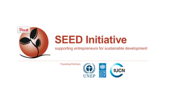 SEED awards logo